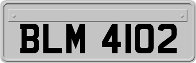BLM4102