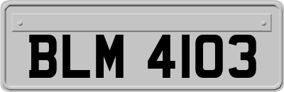 BLM4103