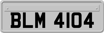 BLM4104