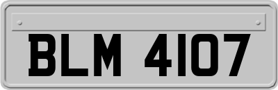 BLM4107