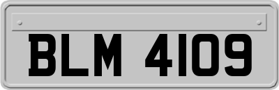 BLM4109