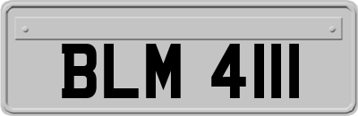 BLM4111