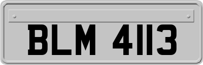 BLM4113