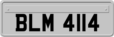 BLM4114