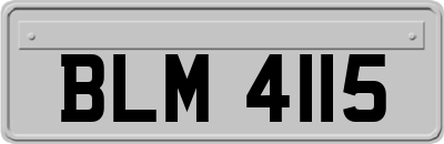 BLM4115