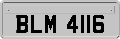 BLM4116