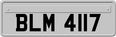 BLM4117