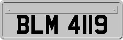 BLM4119