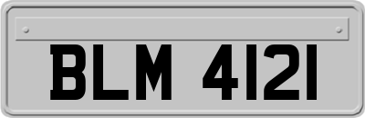 BLM4121