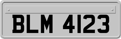 BLM4123
