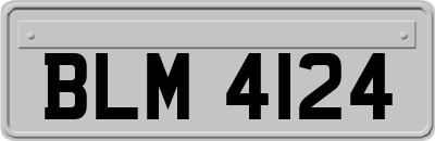 BLM4124