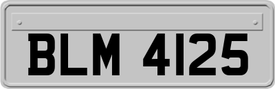 BLM4125