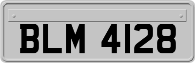 BLM4128