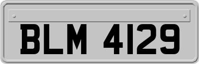 BLM4129