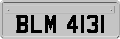 BLM4131