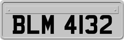 BLM4132