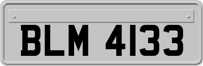 BLM4133