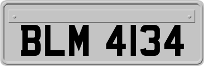 BLM4134