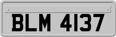 BLM4137