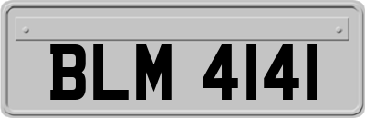 BLM4141