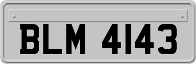 BLM4143