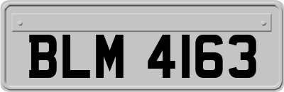 BLM4163