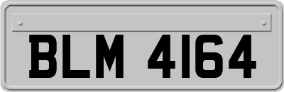 BLM4164