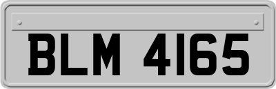 BLM4165