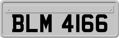 BLM4166