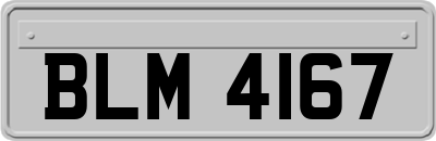 BLM4167