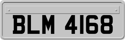 BLM4168