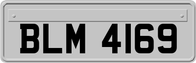 BLM4169