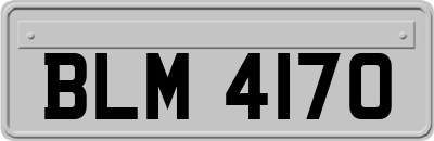 BLM4170