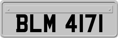 BLM4171