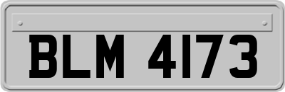 BLM4173