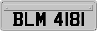 BLM4181