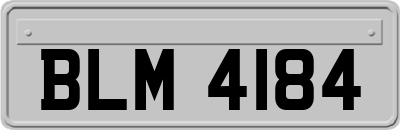 BLM4184