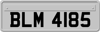 BLM4185