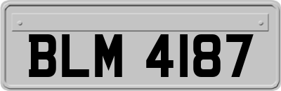 BLM4187