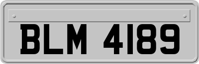 BLM4189