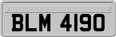 BLM4190