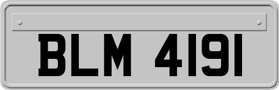 BLM4191