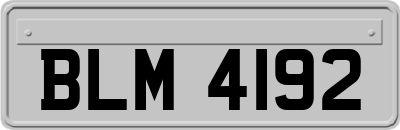 BLM4192