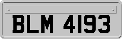 BLM4193