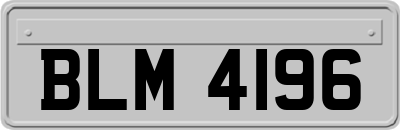 BLM4196