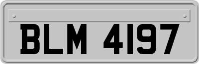 BLM4197
