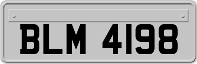 BLM4198