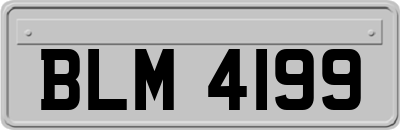 BLM4199