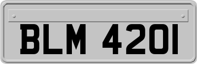 BLM4201