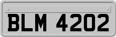 BLM4202